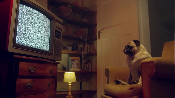 Teen Blonde – Shows her perfect body to the camera – Benefit Monkey